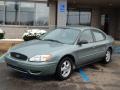 2005 Light Tundra Metallic Ford Taurus SE  photo #1