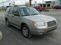 2007 Crystal Gray Metallic Subaru Forester 2.5 X  photo #7