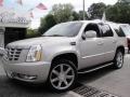 Quicksilver - Escalade AWD Photo No. 1