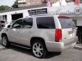 Quicksilver - Escalade AWD Photo No. 4