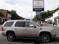 Quicksilver - Escalade AWD Photo No. 7