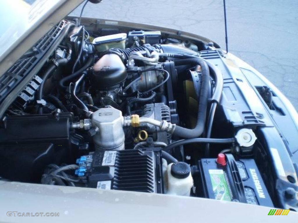 1997 S10 LS Extended Cab - Light Autumnwood Metallic / Beige photo #22