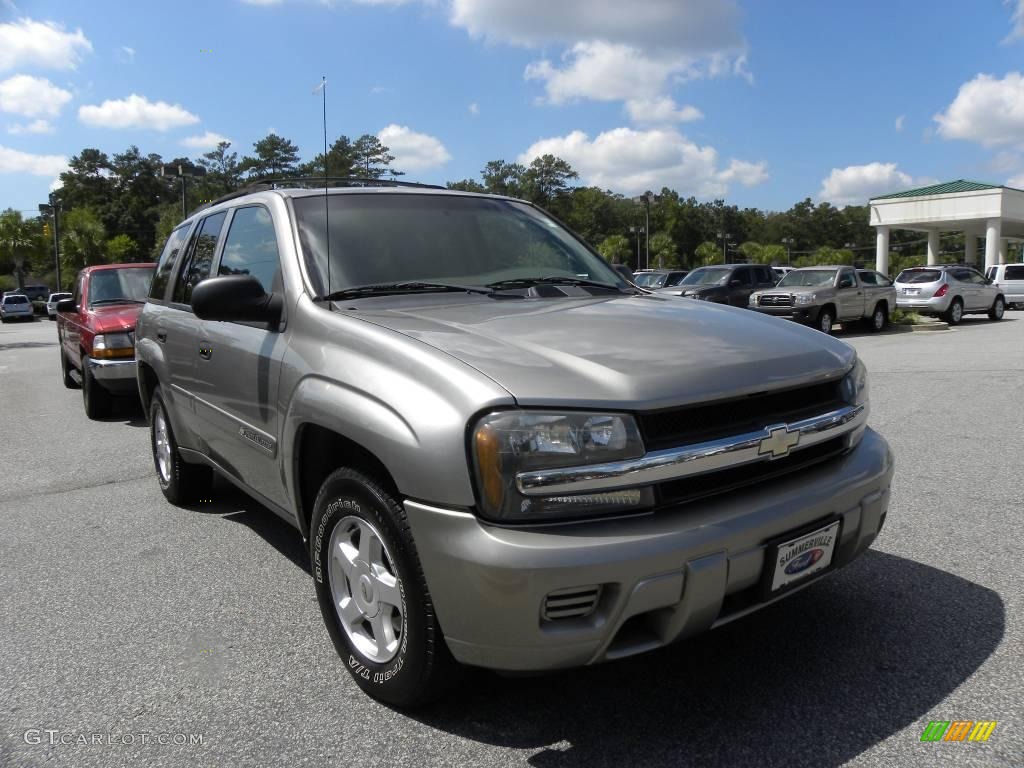 2002 TrailBlazer LS - Light Pewter Metallic / Light Pewter photo #1