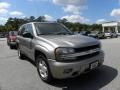 Light Pewter Metallic - TrailBlazer LS Photo No. 1