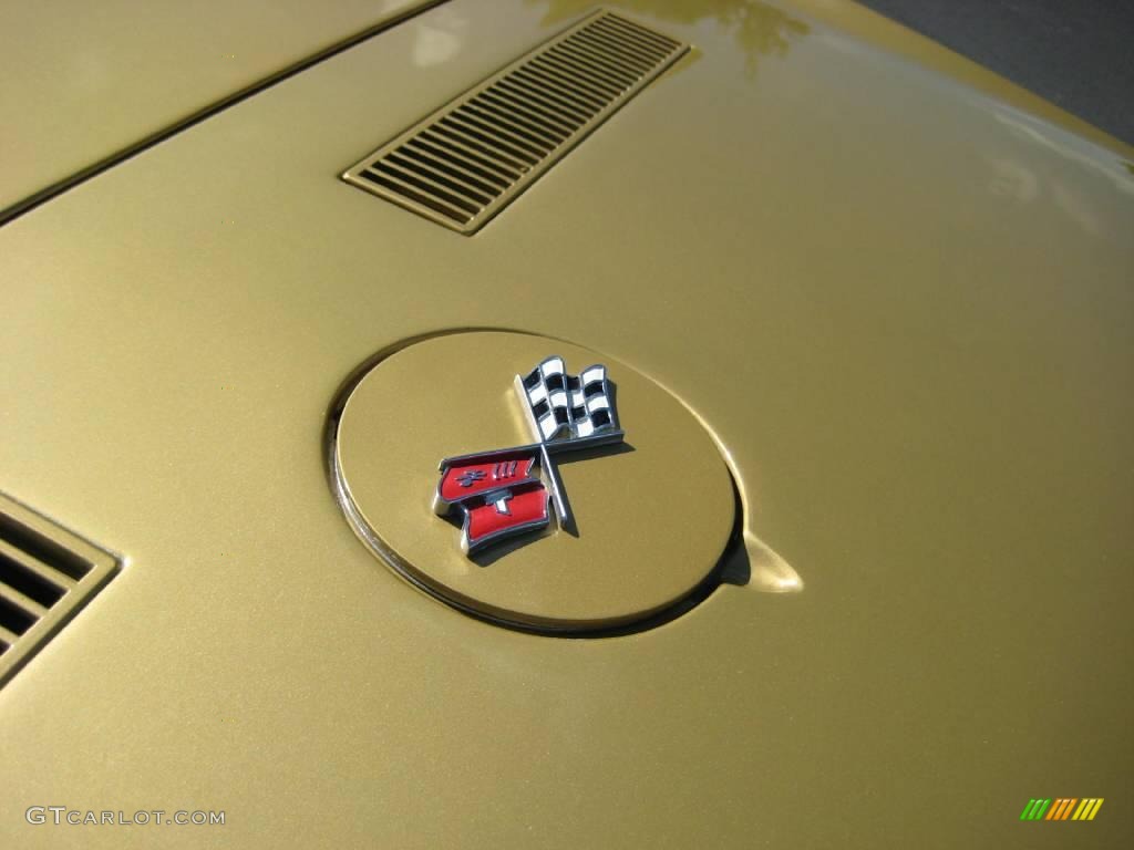 1969 Corvette Convertible - Riverside Gold / Black photo #27