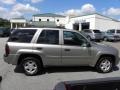 Light Pewter Metallic - TrailBlazer LS Photo No. 12