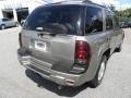 Light Pewter Metallic - TrailBlazer LS Photo No. 13