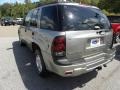 Light Pewter Metallic - TrailBlazer LS Photo No. 16