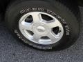 Light Pewter Metallic - TrailBlazer LS Photo No. 17