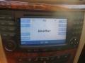 Sienna Black Metallic - E 320 Bluetec Sedan Photo No. 10