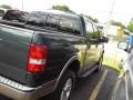 2004 Aspen Green Metallic Ford F150 Lariat SuperCrew 4x4  photo #5
