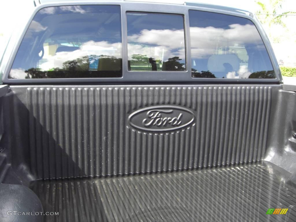 2004 F150 Lariat SuperCrew 4x4 - Aspen Green Metallic / Tan photo #7