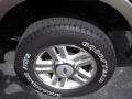 2004 Aspen Green Metallic Ford F150 Lariat SuperCrew 4x4  photo #8