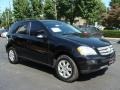 Black - ML 350 4Matic Photo No. 3