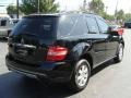 Black - ML 350 4Matic Photo No. 4