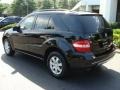 Black - ML 350 4Matic Photo No. 6