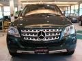 Jade Green Metallic - ML 350 4Matic Photo No. 2