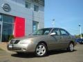 Bronze Shimmer Metallic - Sentra 1.8 S Photo No. 4