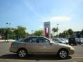 Bronze Shimmer Metallic - Sentra 1.8 S Photo No. 11