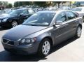 Titanium Gray Metallic - S40 2.4i Photo No. 1