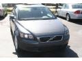 Titanium Gray Metallic - S40 2.4i Photo No. 2