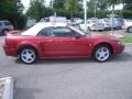 1999 Laser Red Metallic Ford Mustang GT Convertible  photo #7