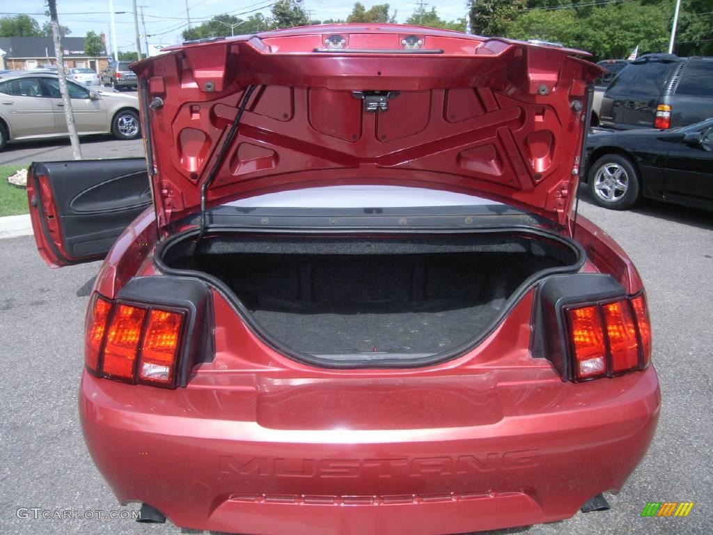 1999 Mustang GT Convertible - Laser Red Metallic / Light Graphite photo #12
