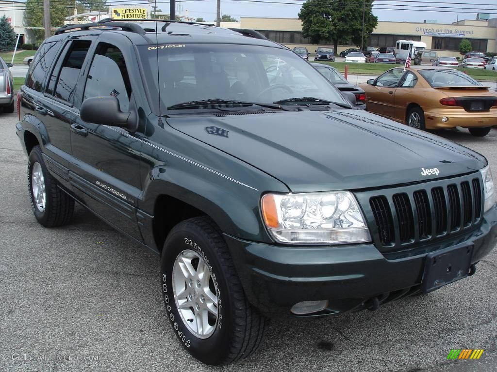 2000 Grand Cherokee Limited 4x4 - Shale Green Metallic / Agate photo #4