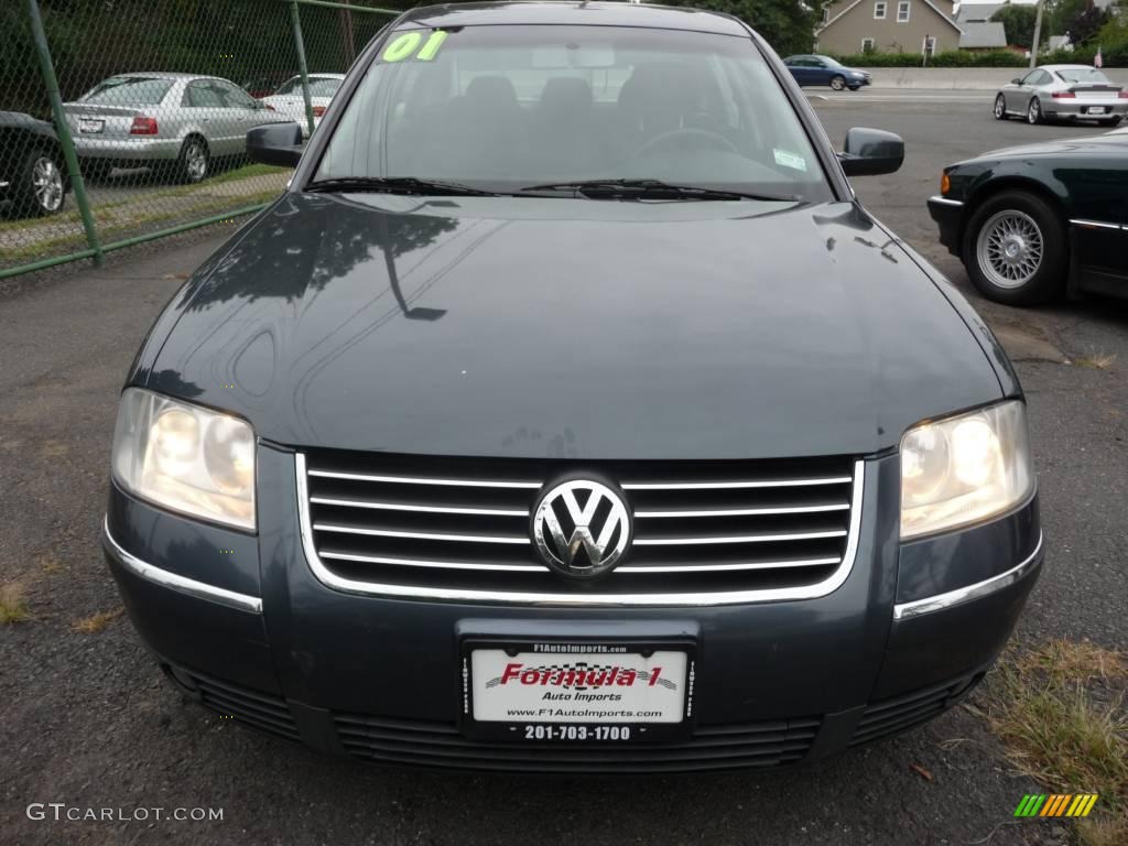 Blue Anthracite Pearl Volkswagen Passat