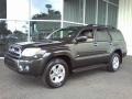 Shadow Mica - 4Runner SR5 Photo No. 19