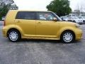 Gold Rush Mica - xB Release Series 5.0 Photo No. 2