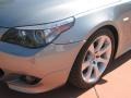 2007 Silver Grey Metallic BMW 5 Series 550i Sedan  photo #10