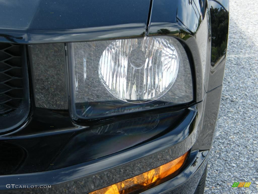 2006 Mustang V6 Premium Coupe - Black / Light Graphite photo #9