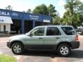 2006 Titanium Green Metallic Ford Escape XLT V6  photo #6