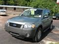 2006 Titanium Green Metallic Ford Escape XLT V6  photo #7