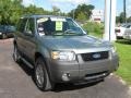 2006 Titanium Green Metallic Ford Escape XLT V6  photo #9