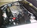 2006 Taffeta White Honda Accord EX-L V6 Sedan  photo #30