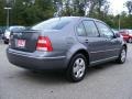 2004 Platinum Grey Metallic Volkswagen Jetta GLS Sedan  photo #5