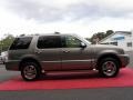 Vapor Silver Metallic - Mountaineer Premier AWD Photo No. 4