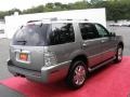 Vapor Silver Metallic - Mountaineer Premier AWD Photo No. 7