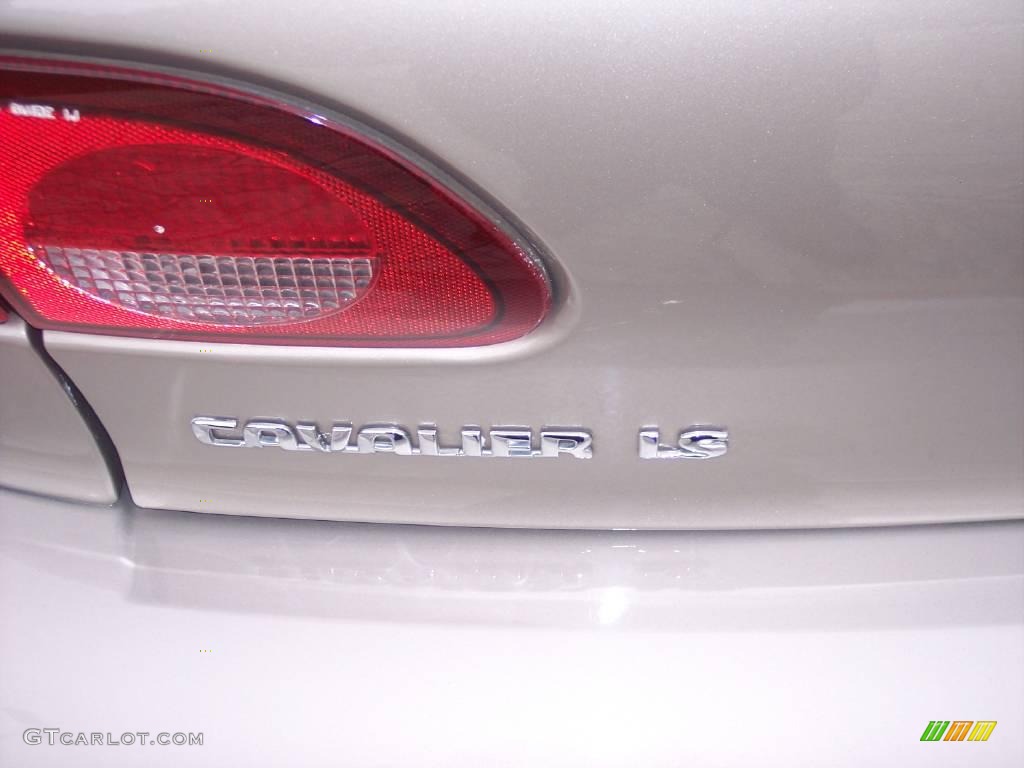 2002 Cavalier LS Sedan - Sandrift Metallic / Neutral photo #10