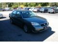 2006 Medium Gray Metallic Chevrolet Malibu LS V6 Sedan  photo #14