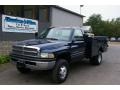 2001 Parriot Blue Pearl Dodge Ram 3500 Regular Cab 4x4 Commercial Chassis #18505106
