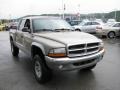 2001 Light Almond Pearl Dodge Dakota SLT Quad Cab 4x4  photo #10