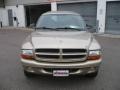 Light Almond Pearl Metallic - Durango Sport 4x4 Photo No. 2