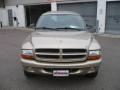 2002 Light Almond Pearl Metallic Dodge Durango Sport 4x4  photo #2