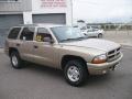 2002 Light Almond Pearl Metallic Dodge Durango Sport 4x4  photo #3