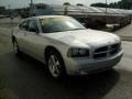 Bright Silver Metallic - Charger SXT AWD Photo No. 6