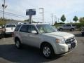 2009 Light Sage Metallic Ford Escape Limited V6  photo #1