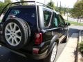 Java Black Pearl - Freelander SE3 Photo No. 4